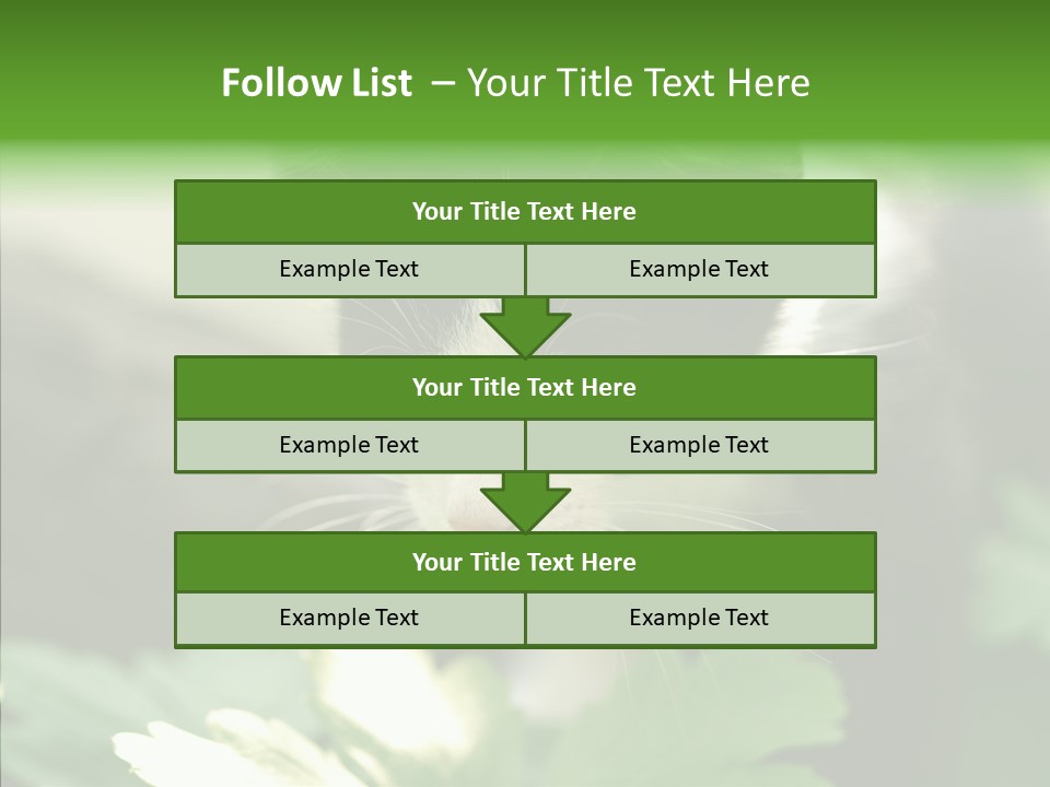 Humorou Li Ten Human PowerPoint Template
