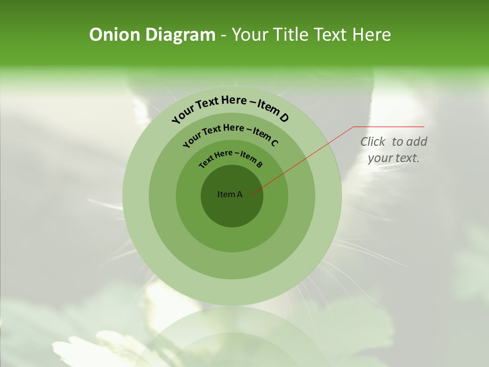 Humorou Li Ten Human PowerPoint Template