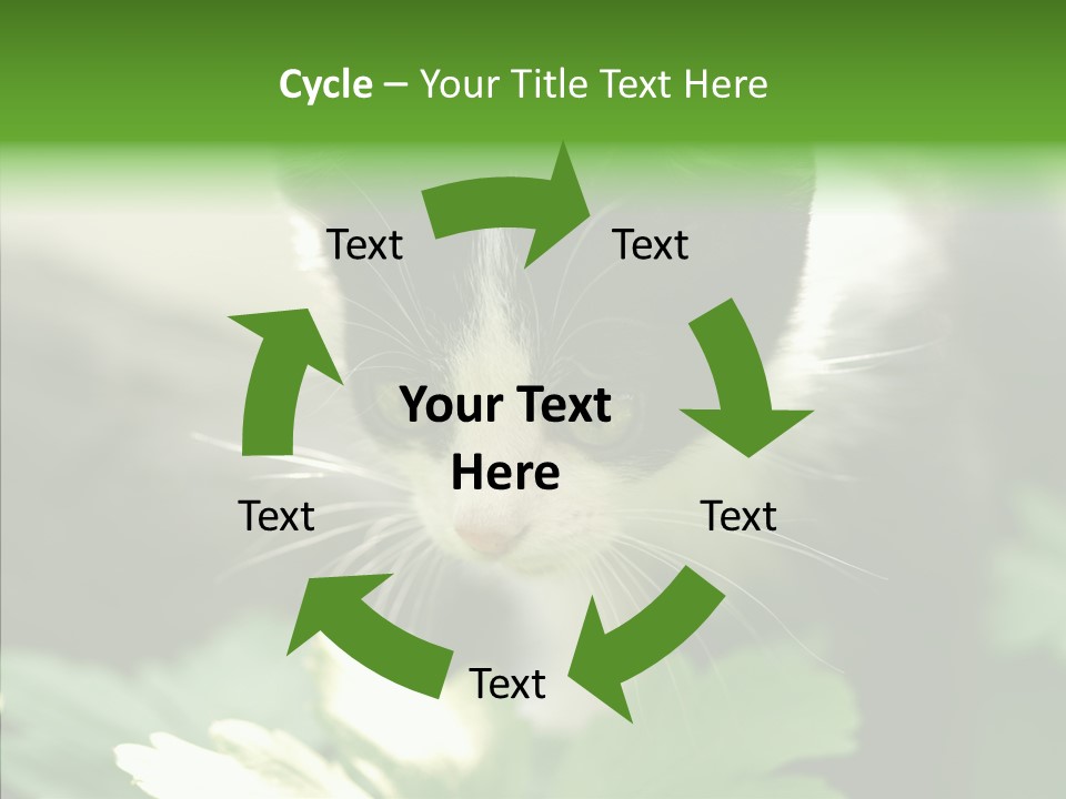 Humorou Li Ten Human PowerPoint Template