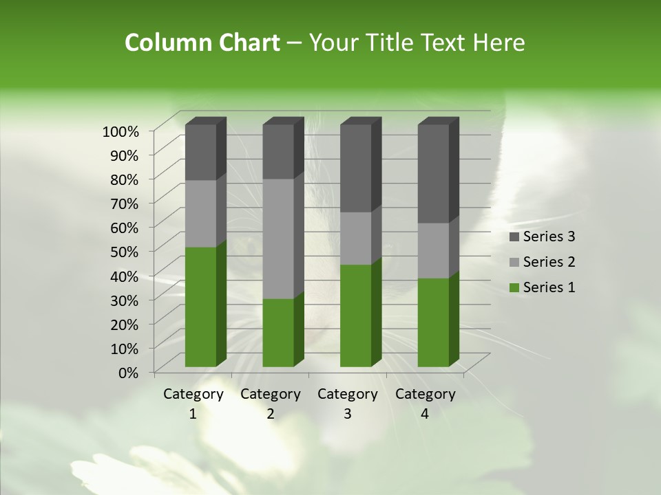 Humorou Li Ten Human PowerPoint Template