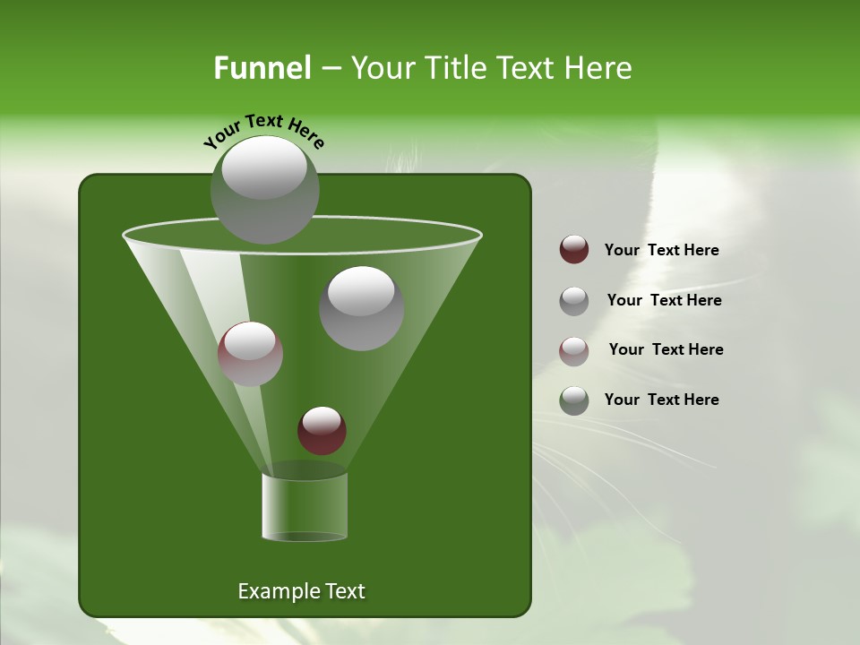 Humorou Li Ten Human PowerPoint Template