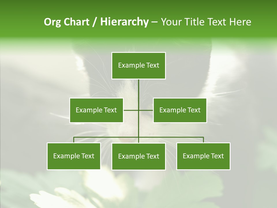 Humorou Li Ten Human PowerPoint Template