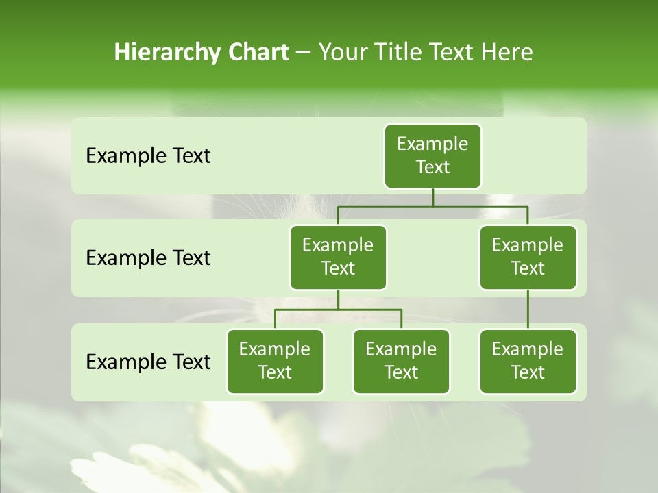 Humorou Li Ten Human PowerPoint Template