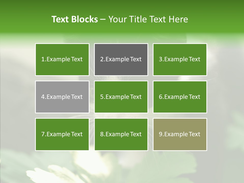 Humorou Li Ten Human PowerPoint Template