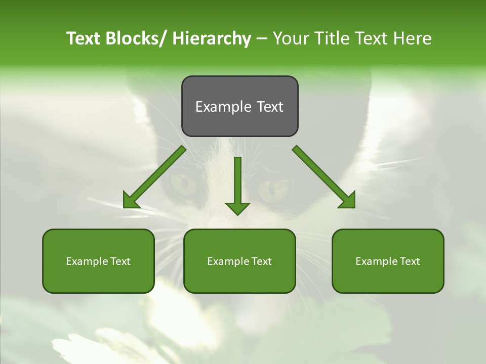 Humorou Li Ten Human PowerPoint Template