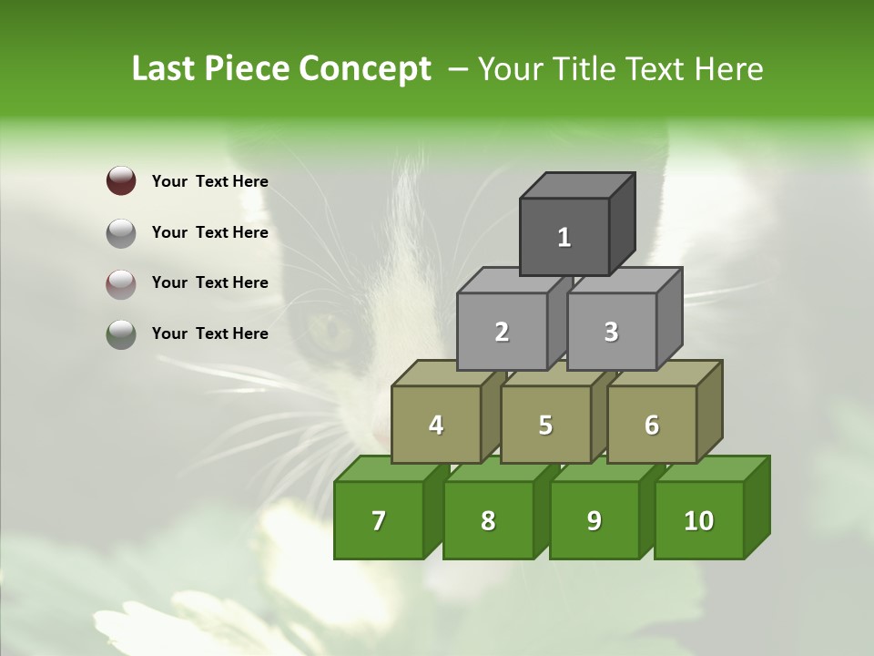 Humorou Li Ten Human PowerPoint Template