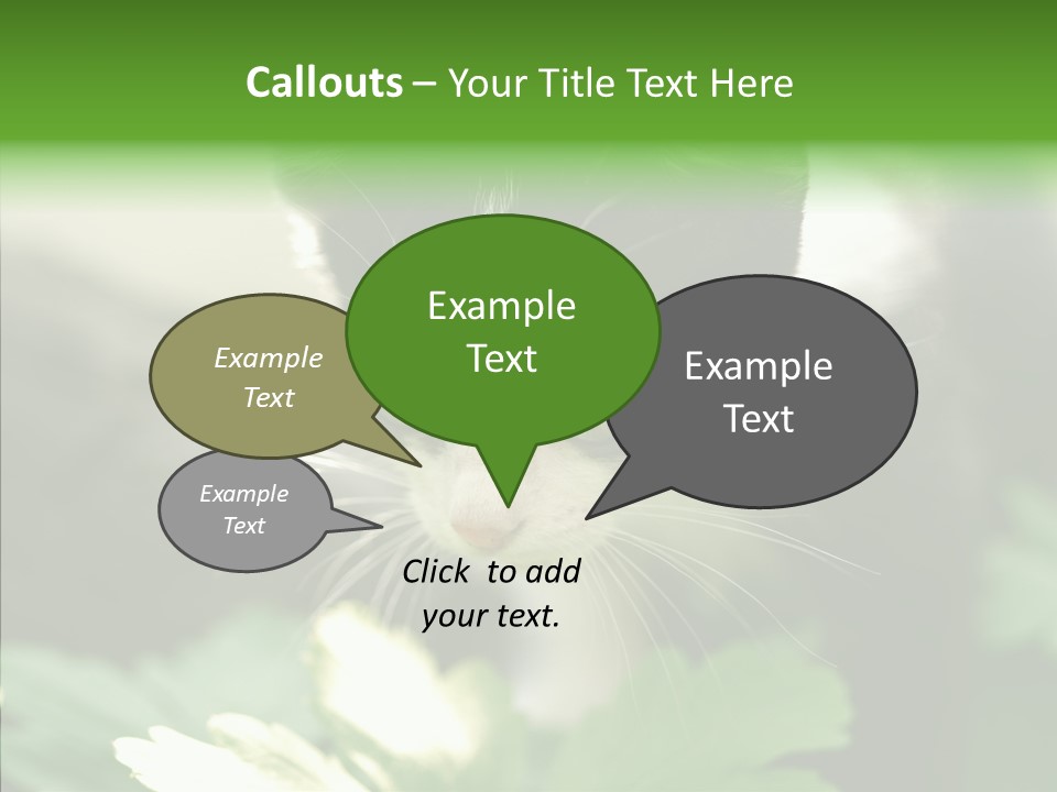 Humorou Li Ten Human PowerPoint Template