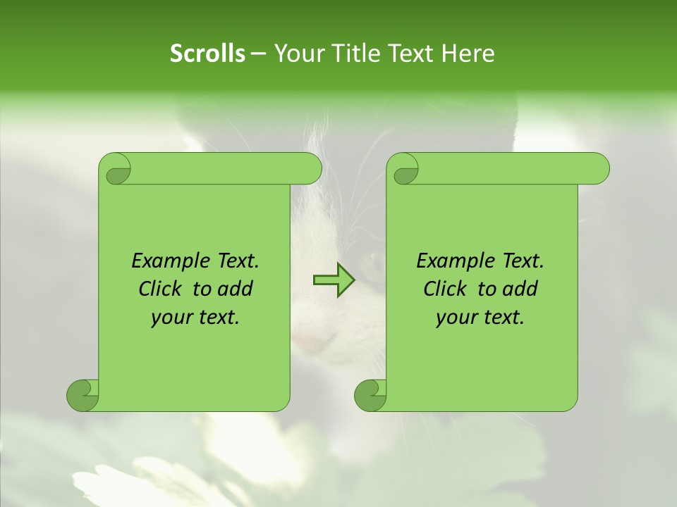 Humorou Li Ten Human PowerPoint Template