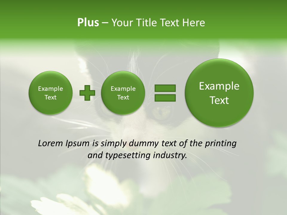 Humorou Li Ten Human PowerPoint Template