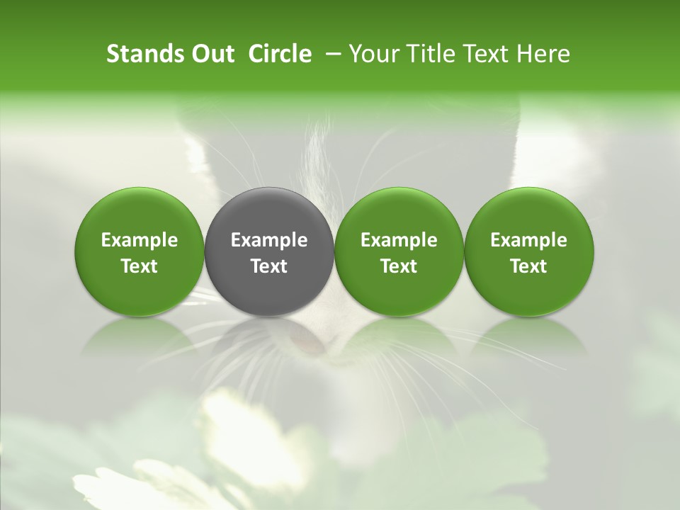 Humorou Li Ten Human PowerPoint Template