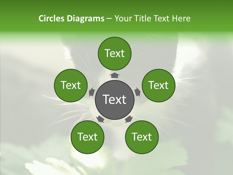 Humorou Li Ten Human PowerPoint Template