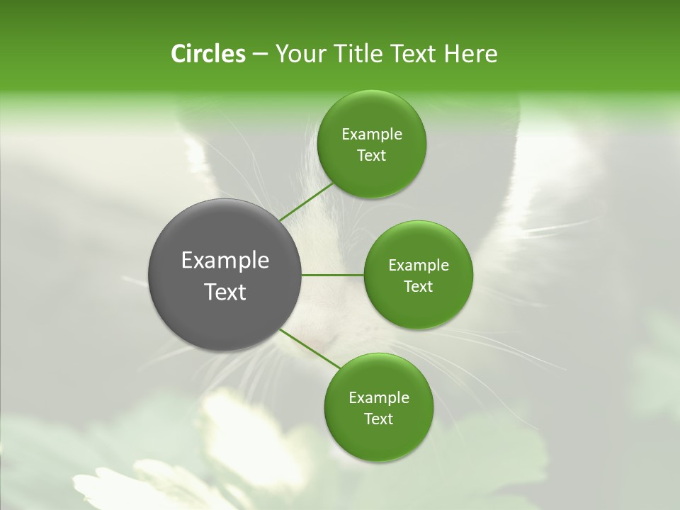 Humorou Li Ten Human PowerPoint Template