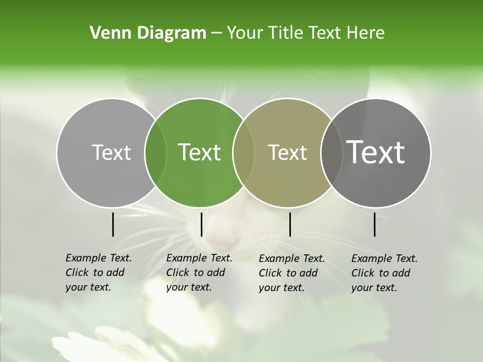 Humorou Li Ten Human PowerPoint Template