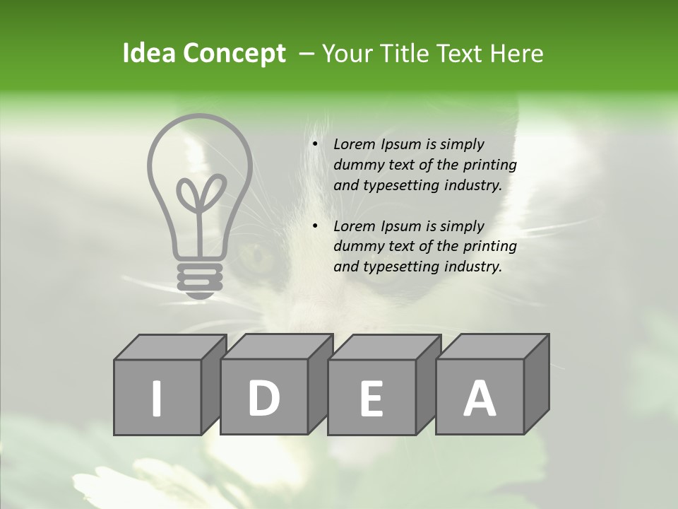 Humorou Li Ten Human PowerPoint Template