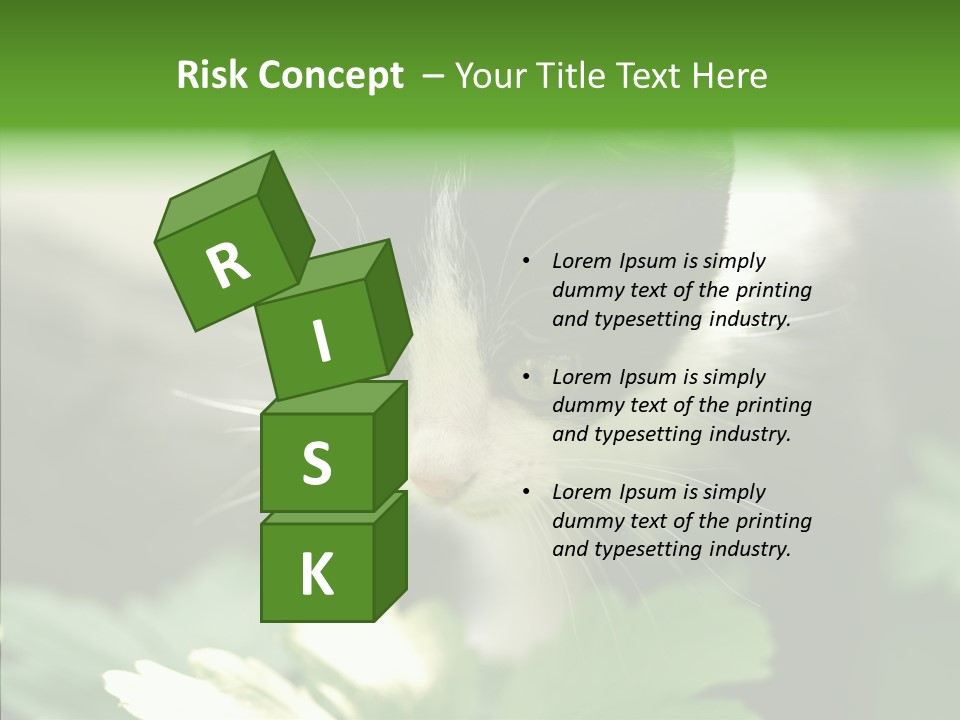 Humorou Li Ten Human PowerPoint Template