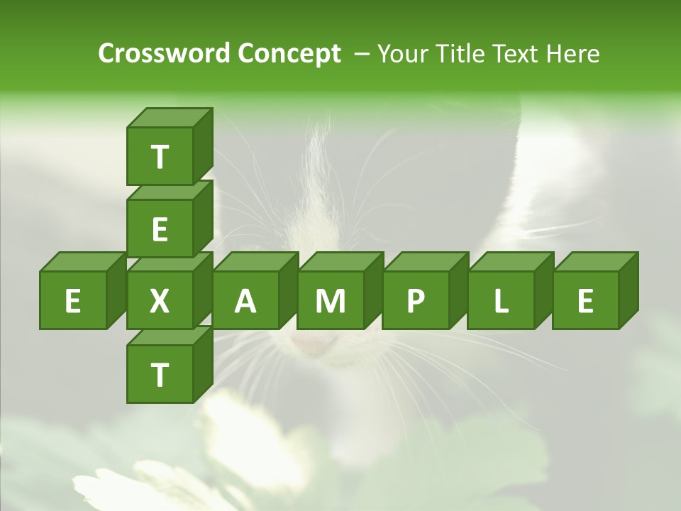 Humorou Li Ten Human PowerPoint Template