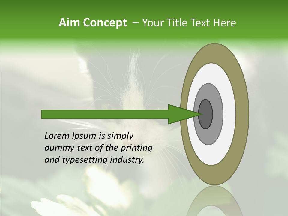 Humorou Li Ten Human PowerPoint Template