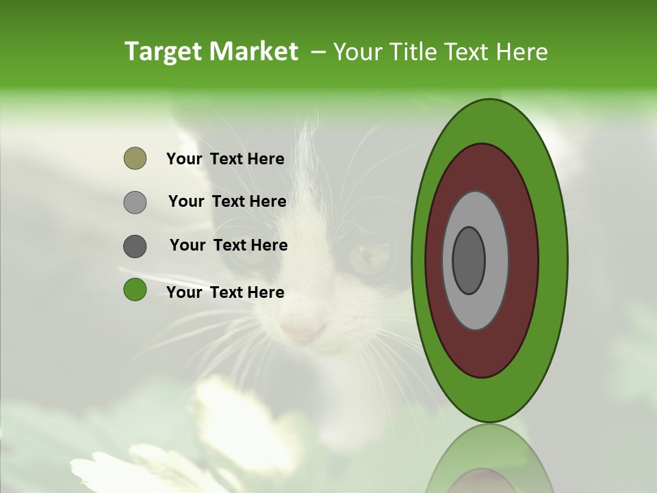 Humorou Li Ten Human PowerPoint Template