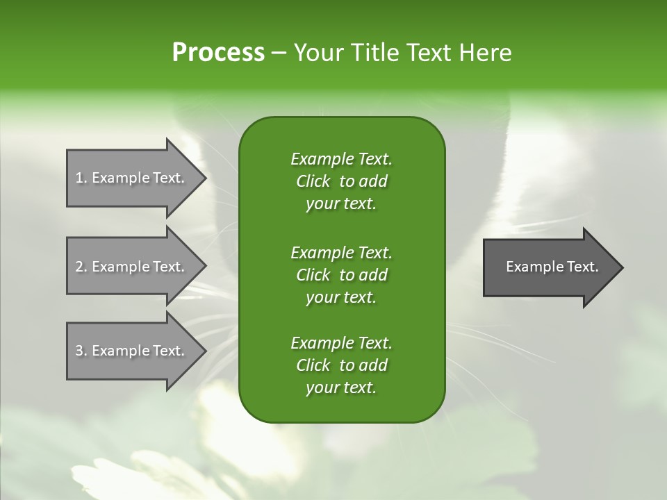 Humorou Li Ten Human PowerPoint Template