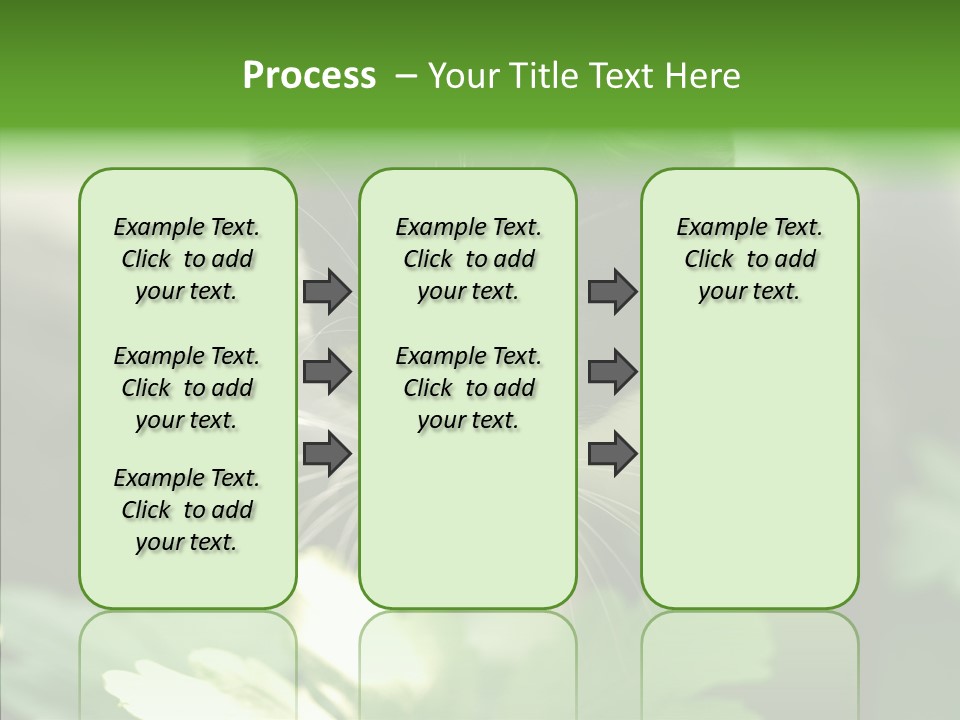 Humorou Li Ten Human PowerPoint Template
