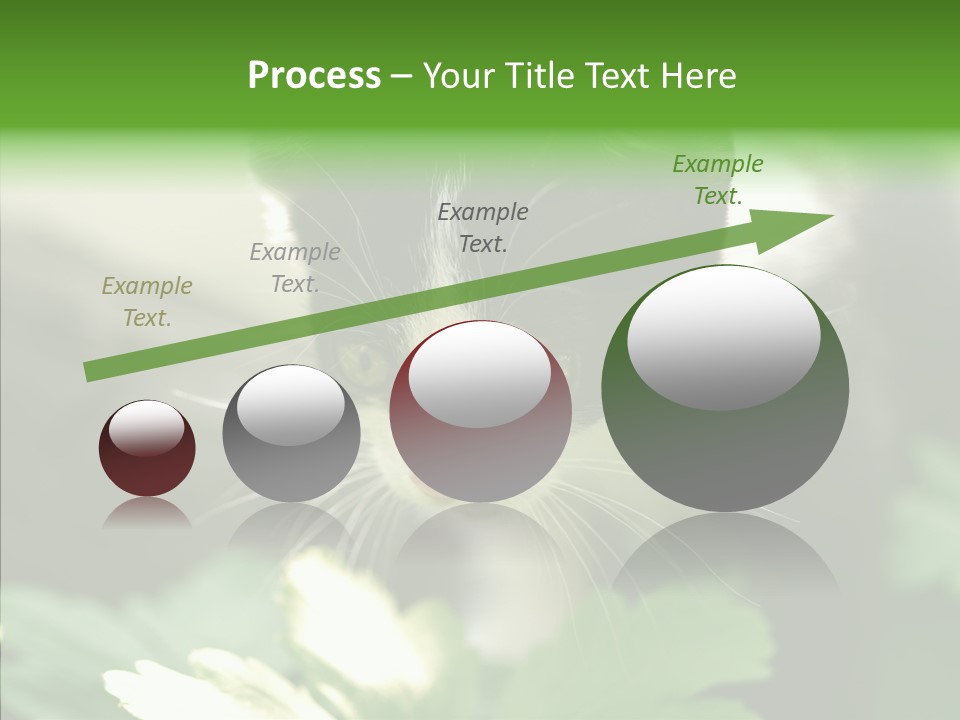 Humorou Li Ten Human PowerPoint Template