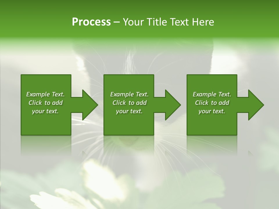 Humorou Li Ten Human PowerPoint Template