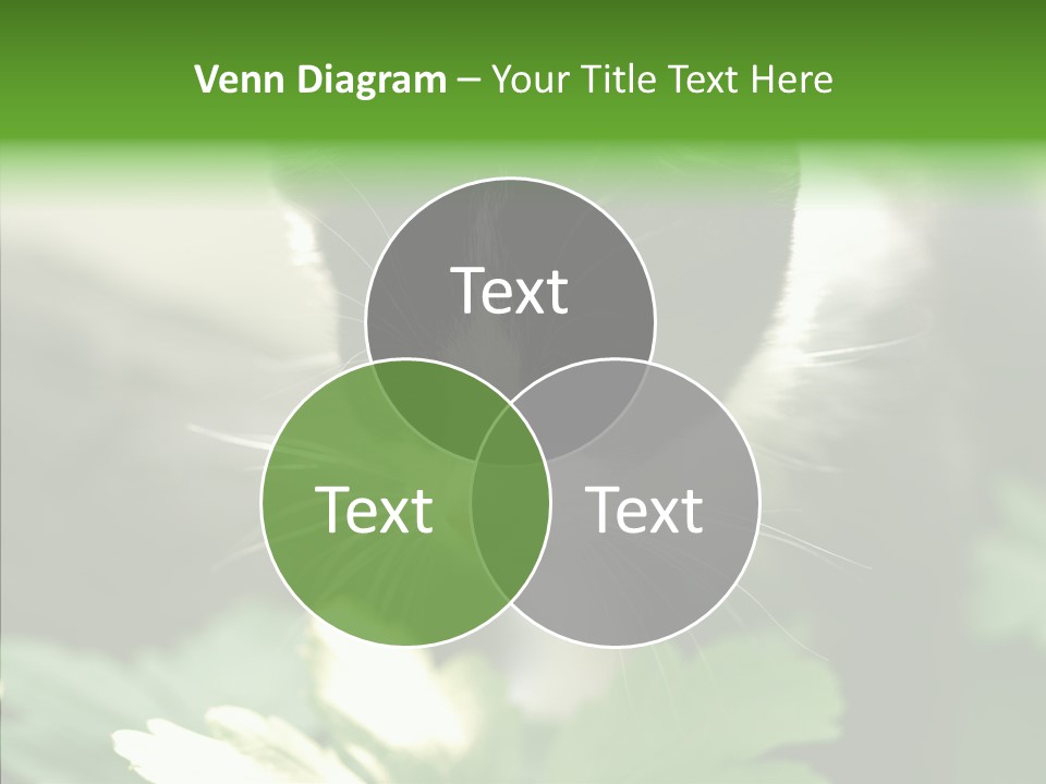 Humorou Li Ten Human PowerPoint Template