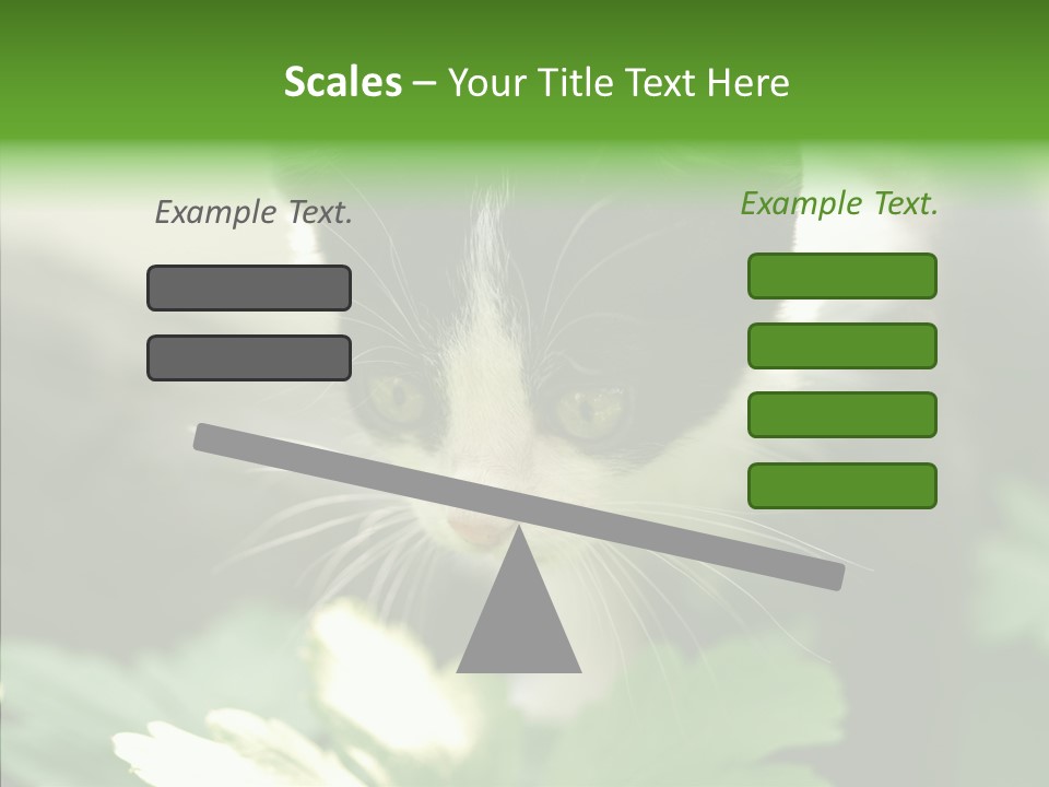 Humorou Li Ten Human PowerPoint Template