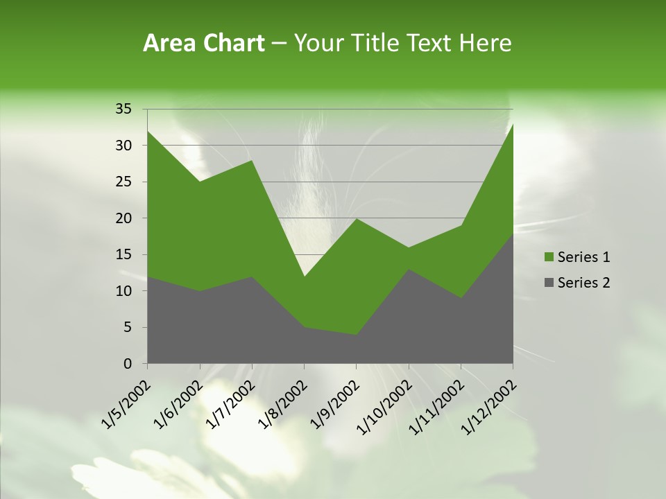 Humorou Li Ten Human PowerPoint Template