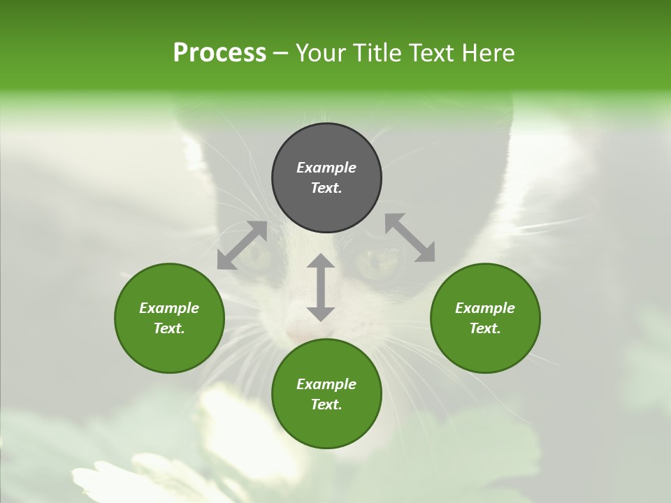 Humorou Li Ten Human PowerPoint Template