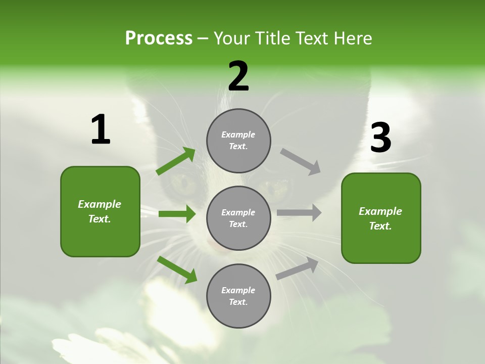 Humorou Li Ten Human PowerPoint Template