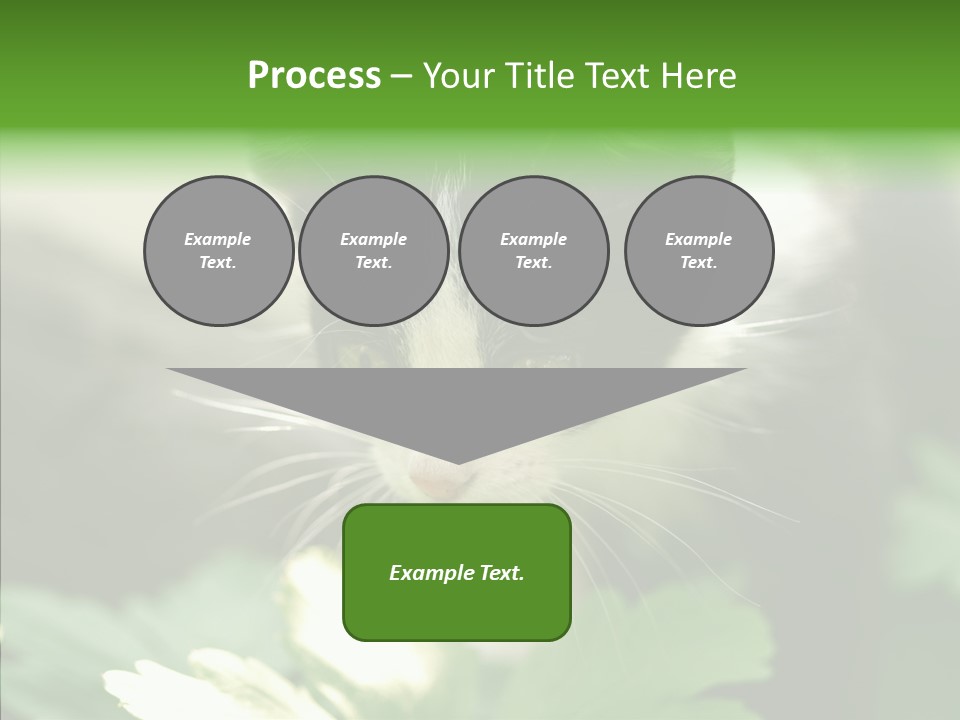 Humorou Li Ten Human PowerPoint Template