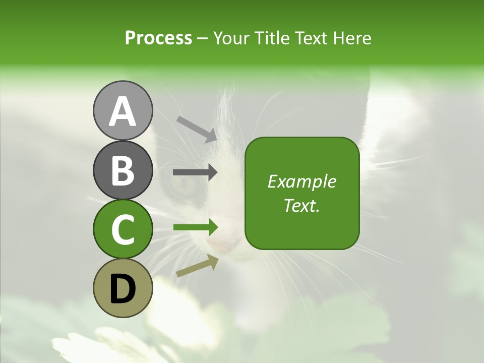 Humorou Li Ten Human PowerPoint Template