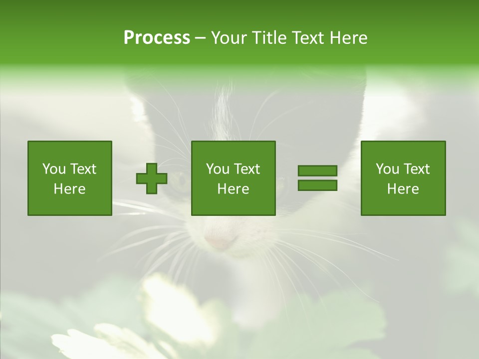 Humorou Li Ten Human PowerPoint Template