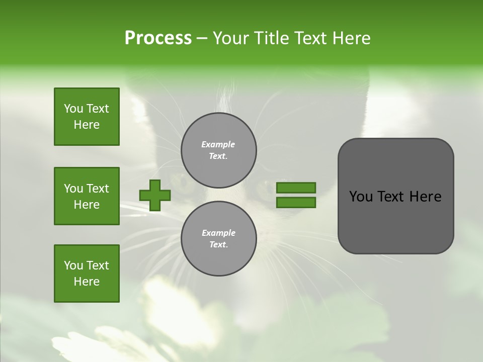 Humorou Li Ten Human PowerPoint Template
