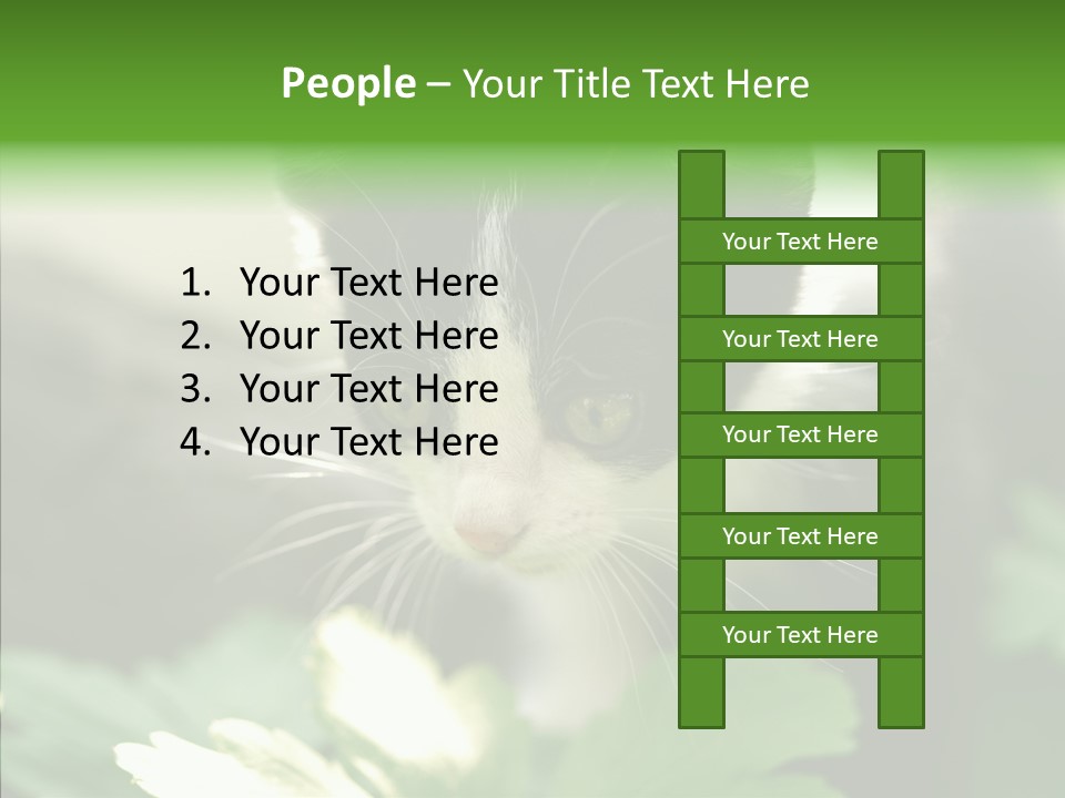 Humorou Li Ten Human PowerPoint Template