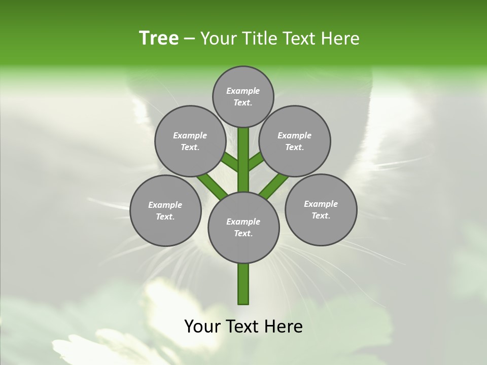 Humorou Li Ten Human PowerPoint Template