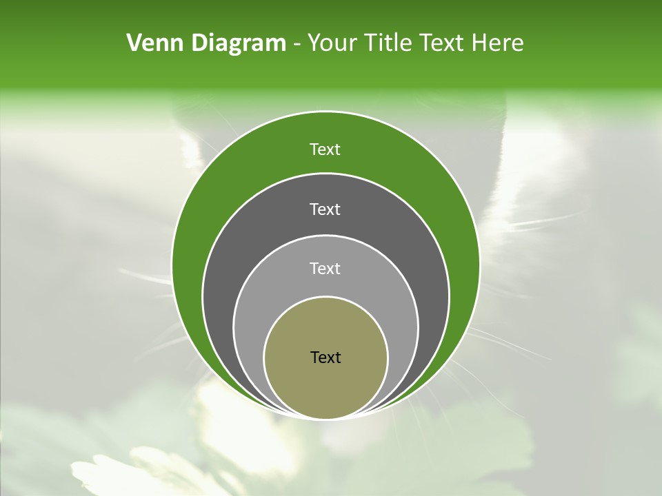 Humorou Li Ten Human PowerPoint Template