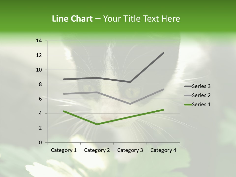 Humorou Li Ten Human PowerPoint Template