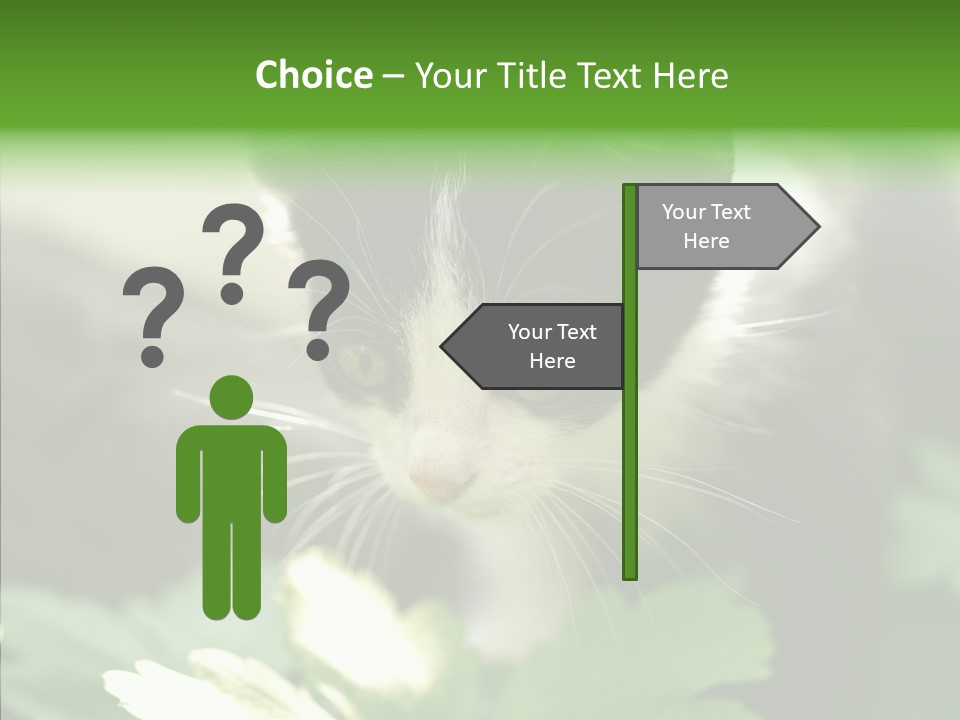 Humorou Li Ten Human PowerPoint Template