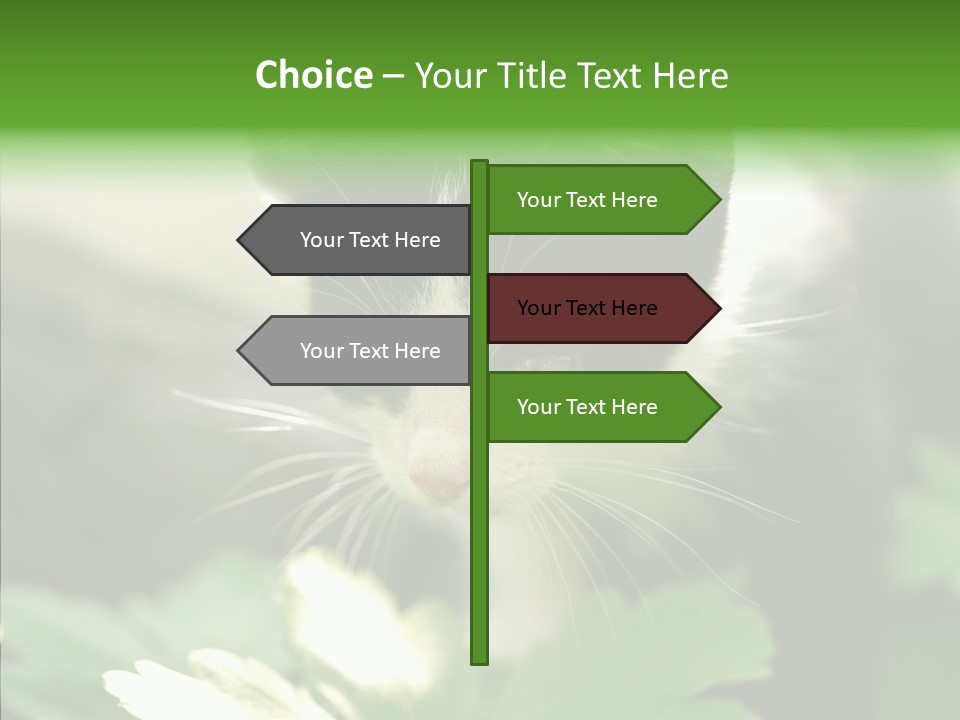 Humorou Li Ten Human PowerPoint Template