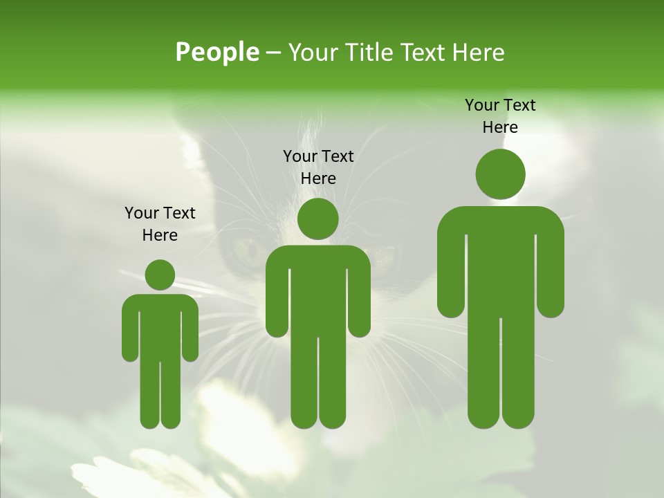 Humorou Li Ten Human PowerPoint Template