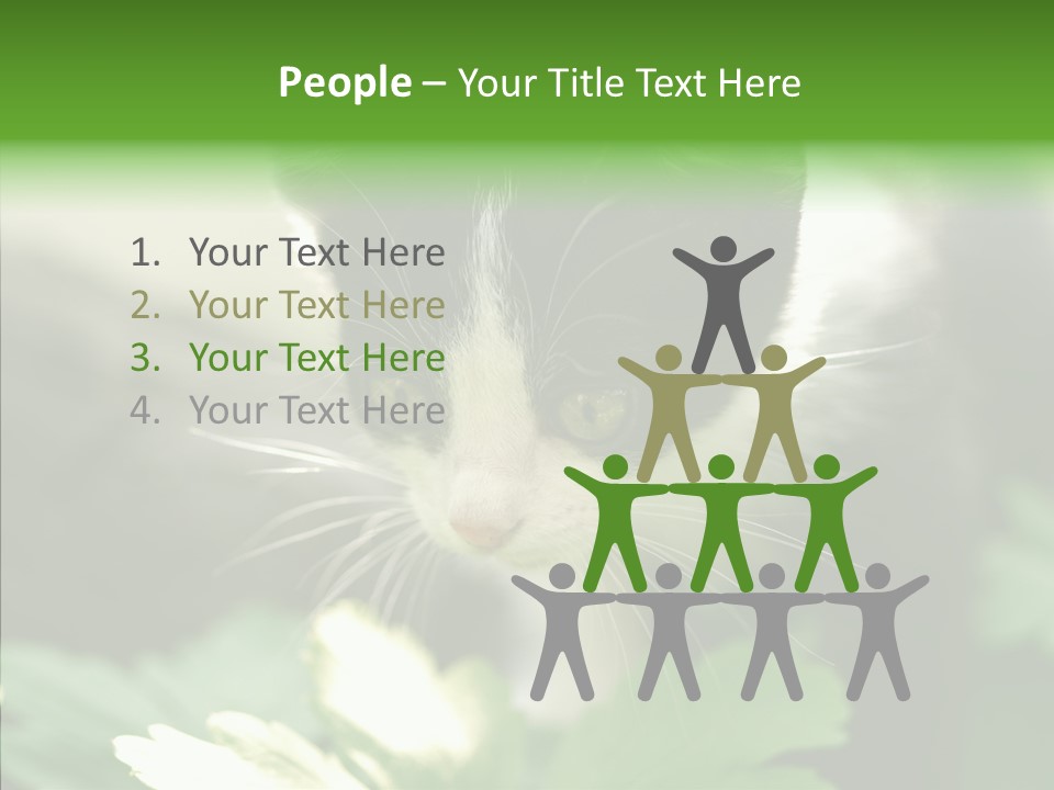 Humorou Li Ten Human PowerPoint Template