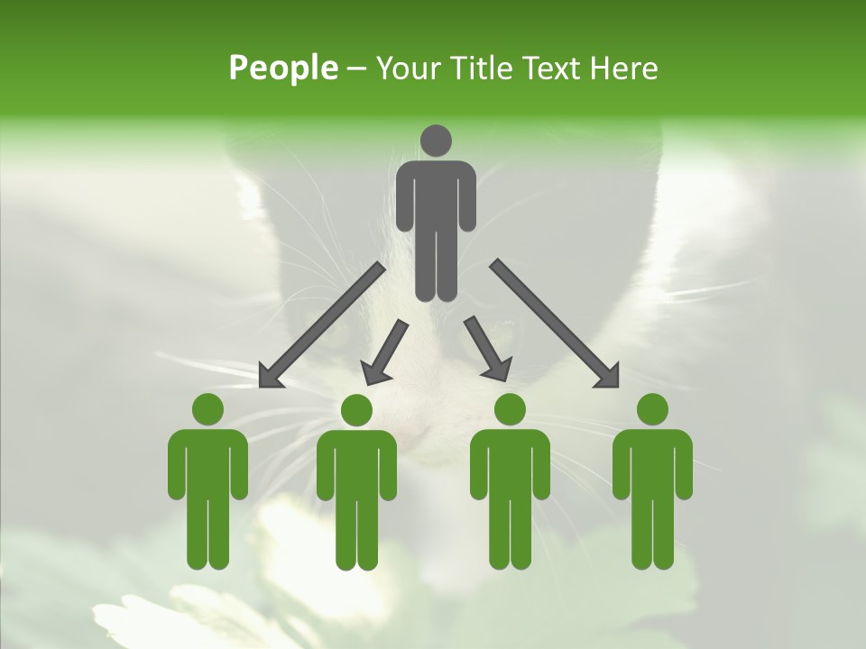 Humorou Li Ten Human PowerPoint Template