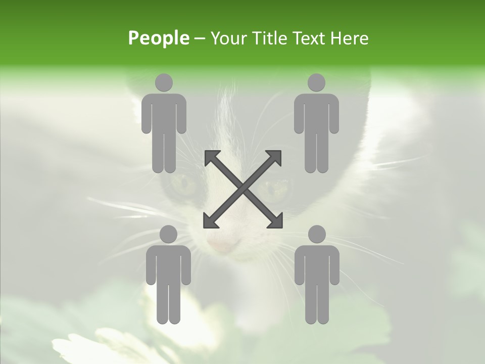 Humorou Li Ten Human PowerPoint Template