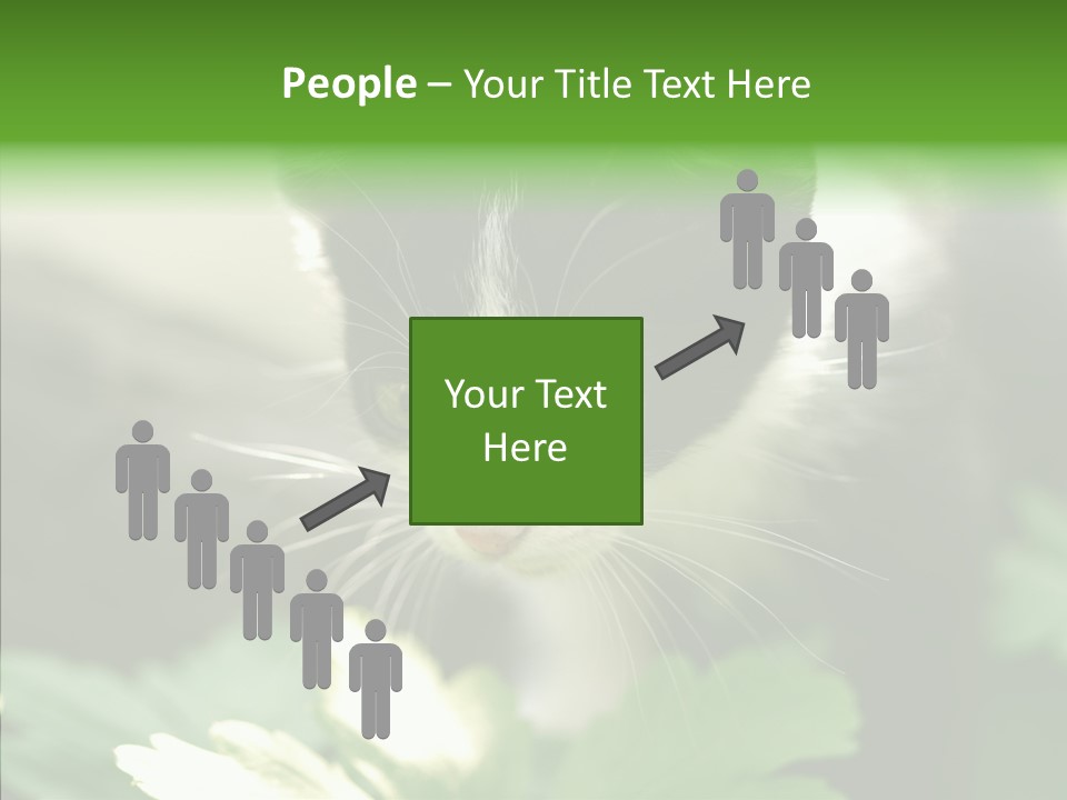 Humorou Li Ten Human PowerPoint Template