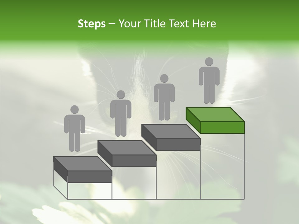 Humorou Li Ten Human PowerPoint Template