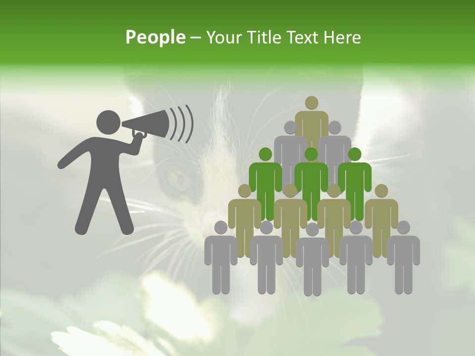 Humorou Li Ten Human PowerPoint Template