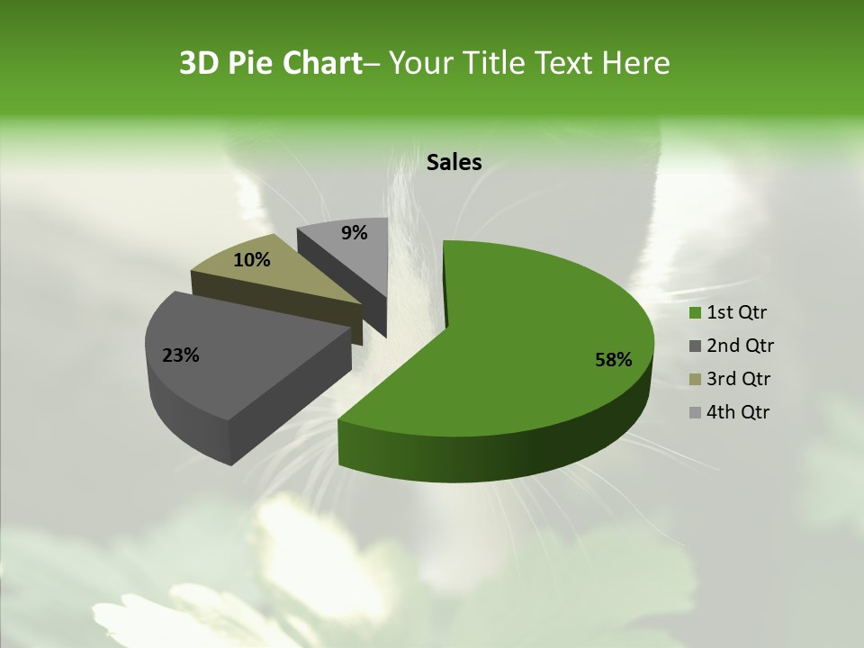 Humorou Li Ten Human PowerPoint Template