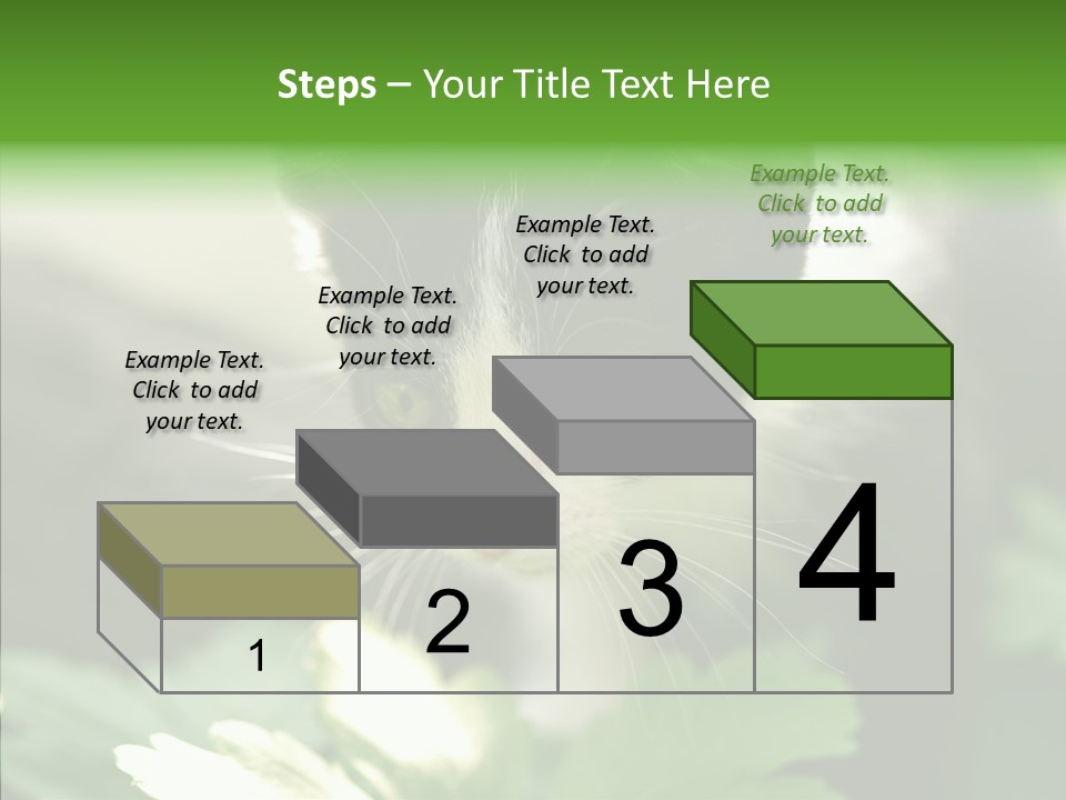 Humorou Li Ten Human PowerPoint Template